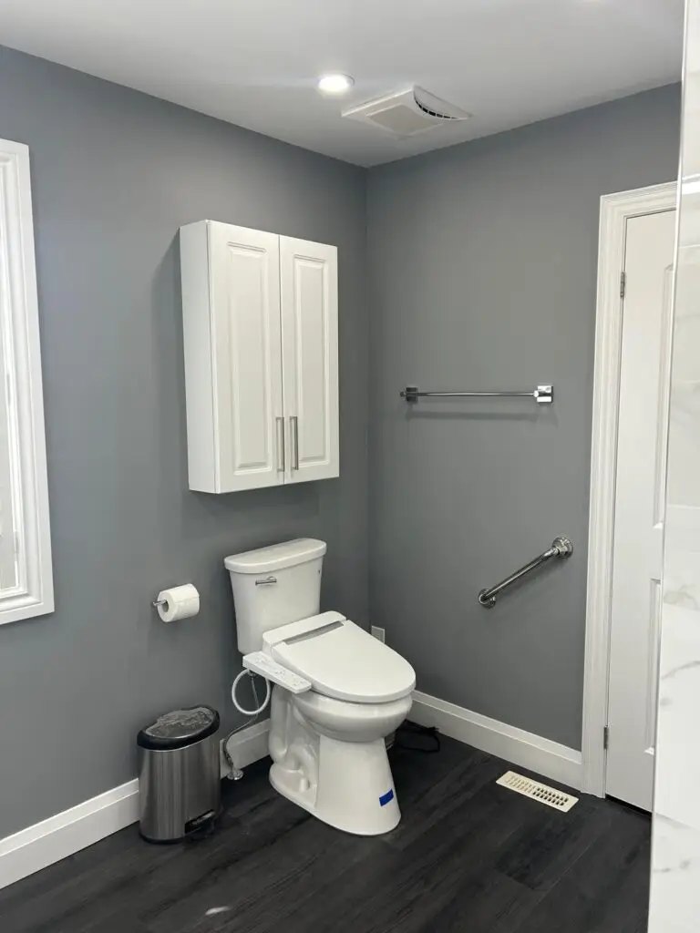 Toilet with Bidet Seat